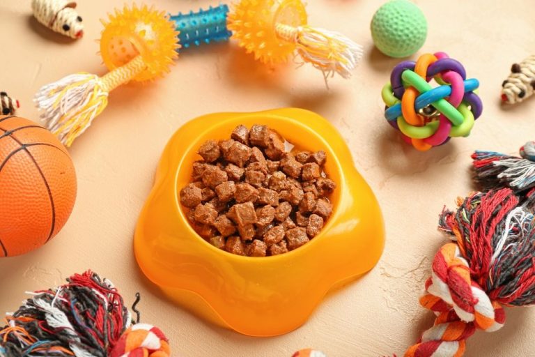 Smart Ways to Save on Premium Pet Food