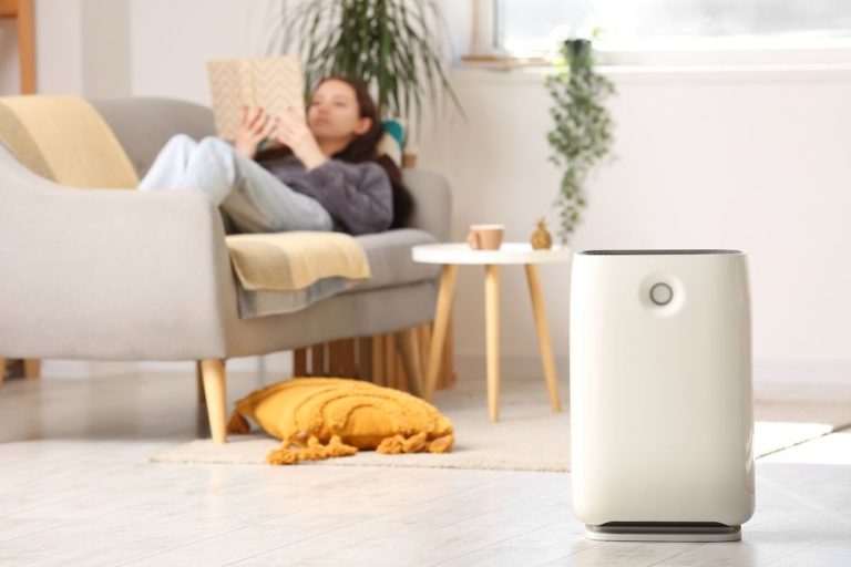 Discounts on Air Purifiers for a Healthier Home